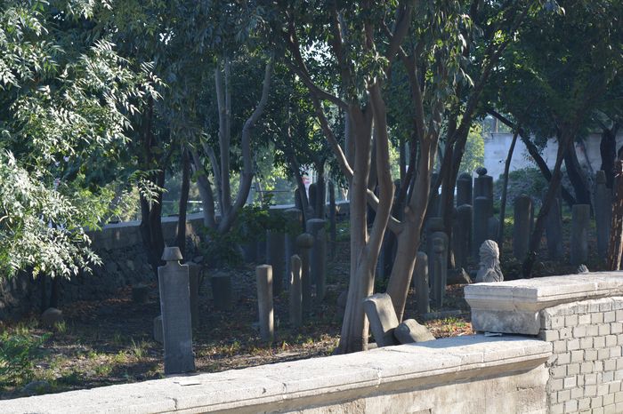 The Emperor’s Illness