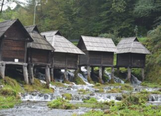 Sultan Abdul Hamid’s Children