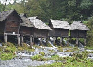 A Story of Tragedy and Isolation