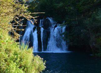 The Question of the Neorion at the Heptascalon