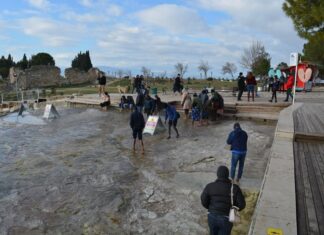 Organization of the Village Health Microregion